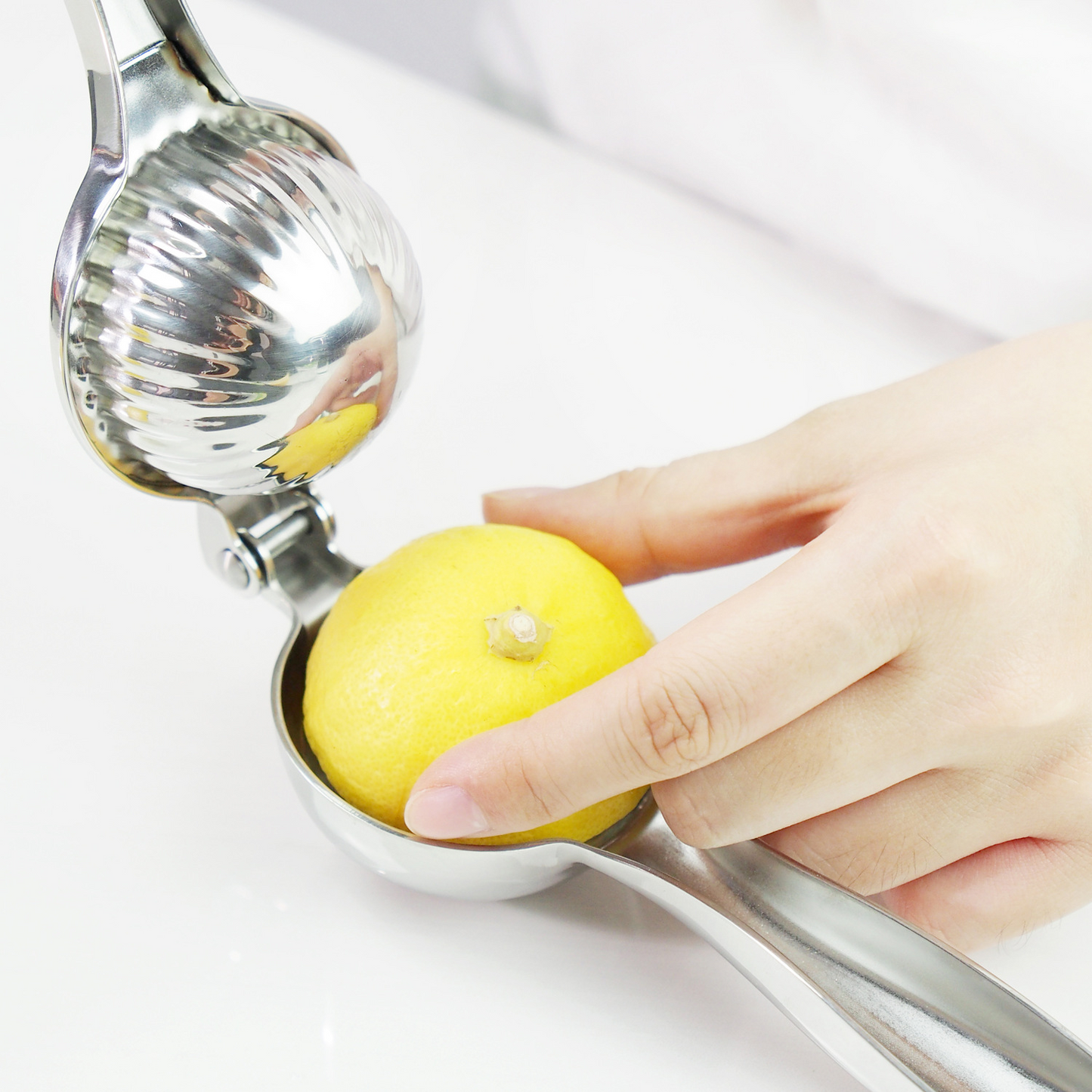 Lemon and Lime Press