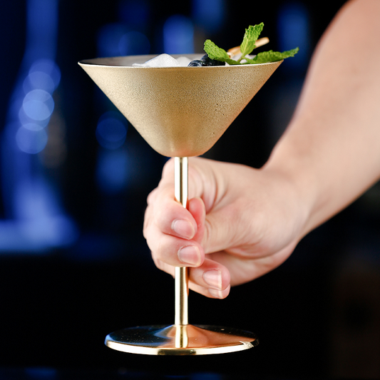 Stainless Steel Martini Glass (Set of 2)